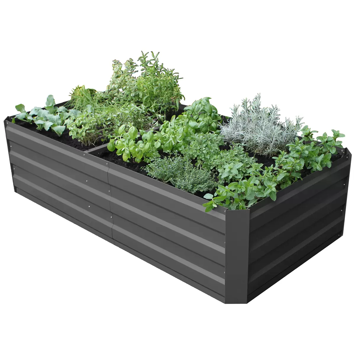 Green Life LARGE GARDEN BED with Cover - Charcoal