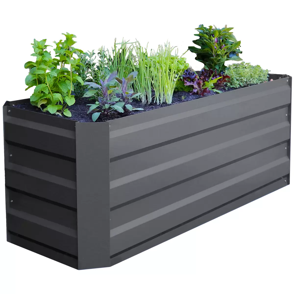 Green Life Slimline GARDEN BED - Charcoal