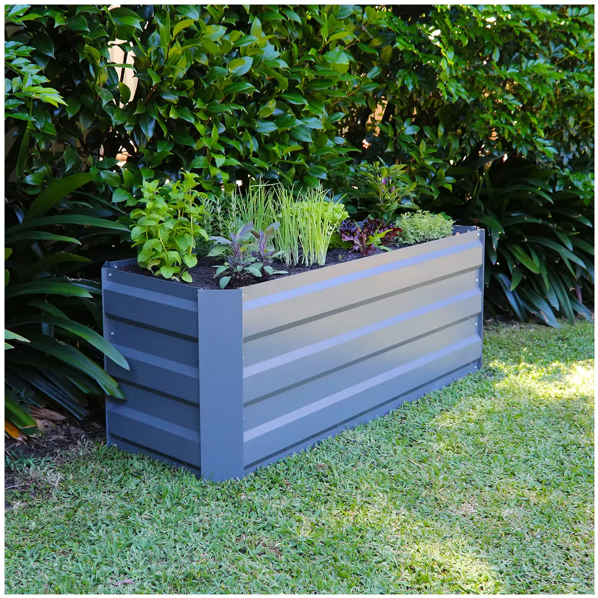 Green Life Slimline GARDEN BED - Slate Grey