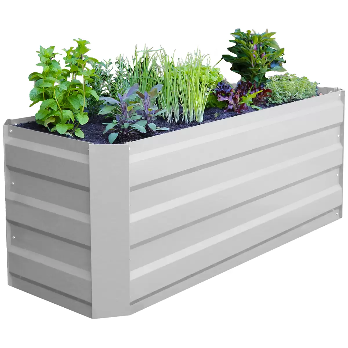 Green Life Slimline GARDEN BED - White