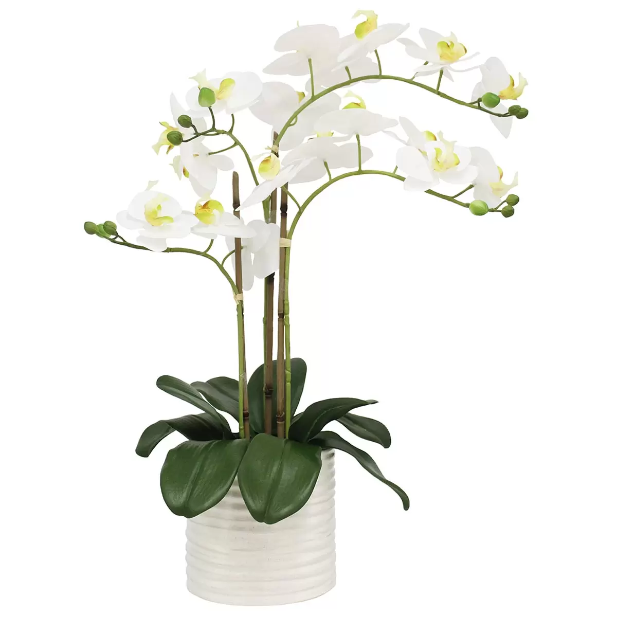 Faux Orchid With Ribbed Pot White