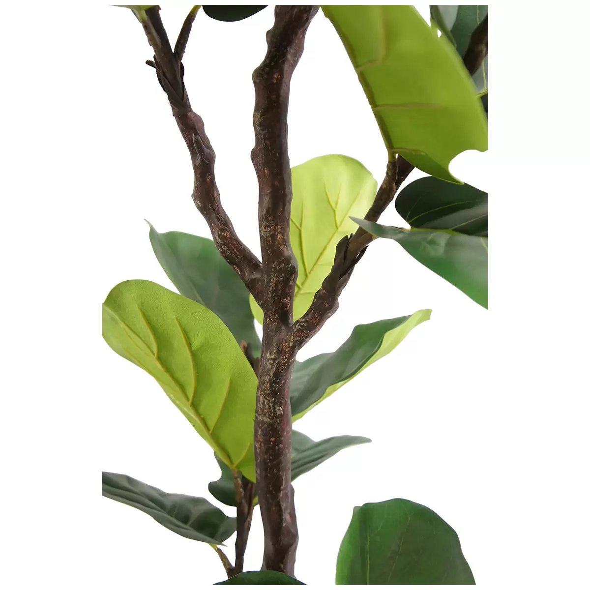 CG Hunter Faux Slim Fig Tree 2M