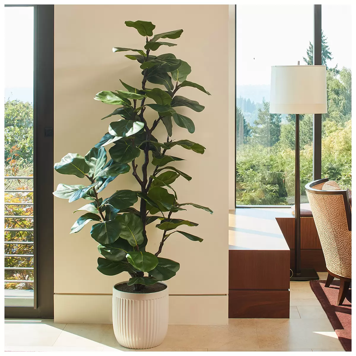 CG Hunter Faux Slim Fig Tree 2M