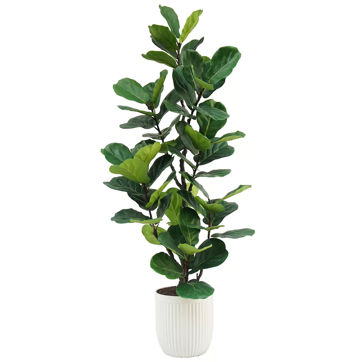 CG Hunter Faux Slim Fig Tree 2M